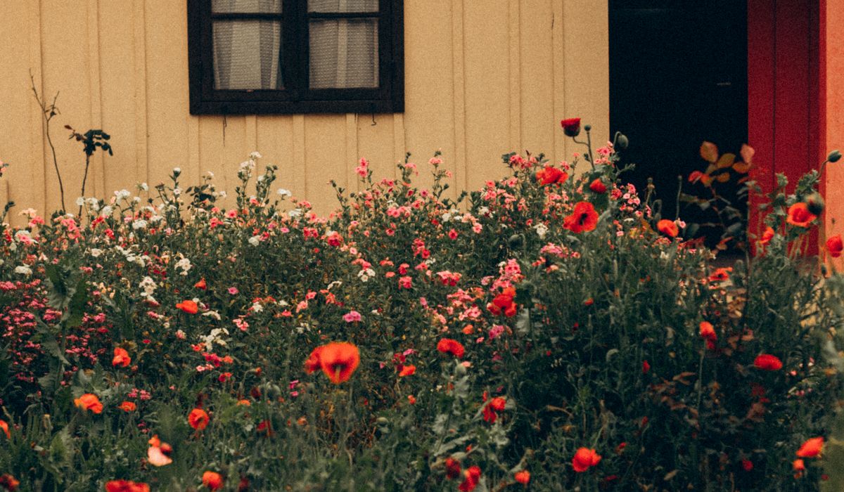 Creating a Warm Welcome for Cottage Guests
