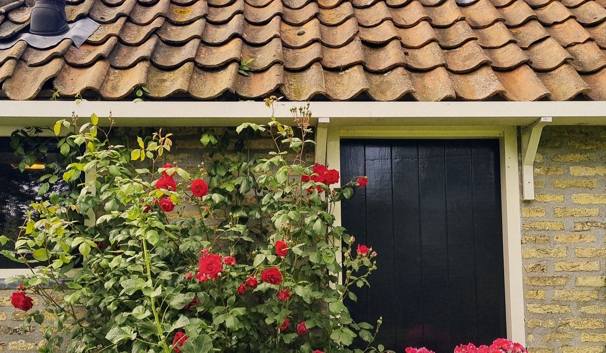 Setting Up a Holiday Let in a Traditional Cottage
